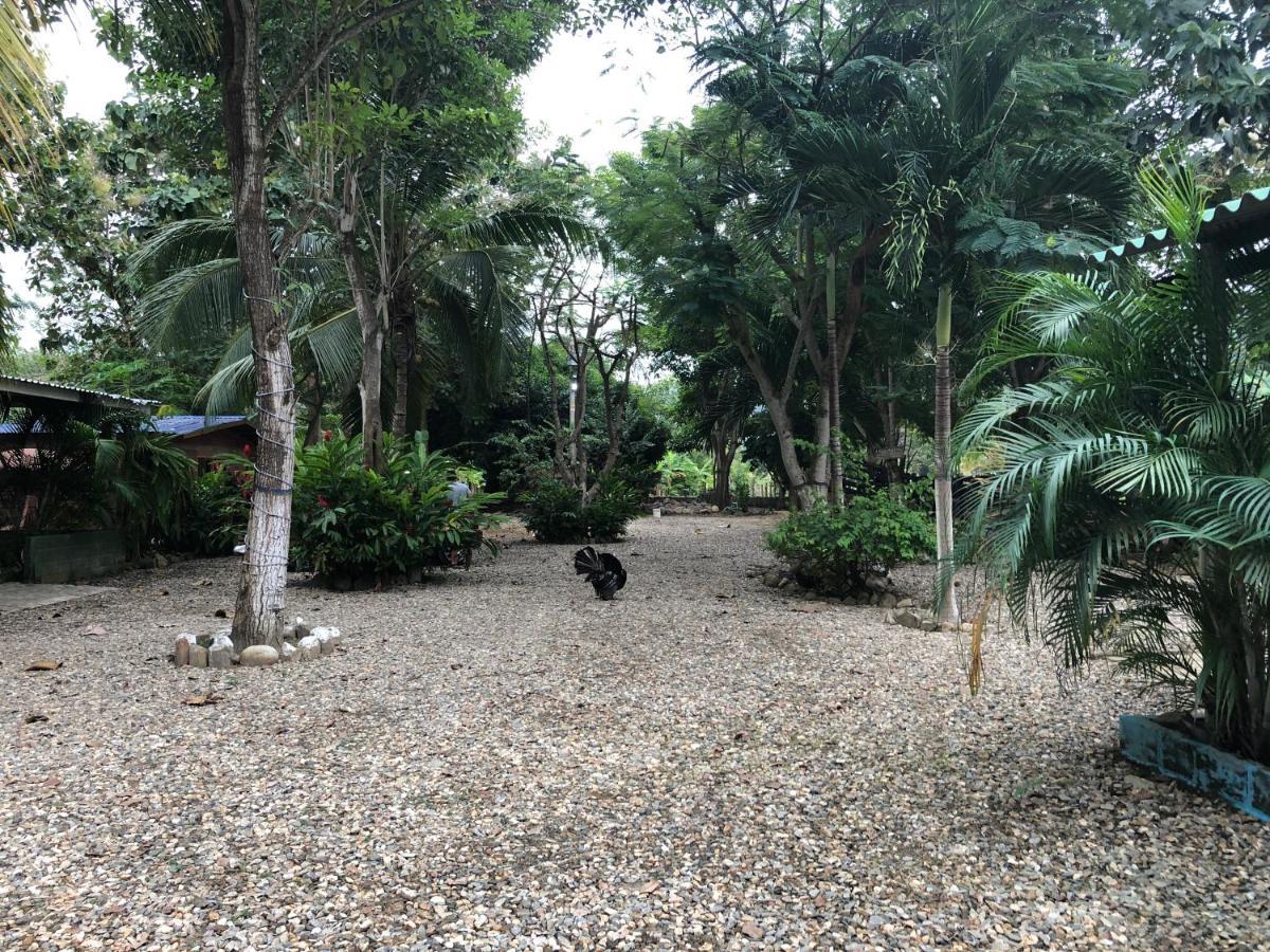 Хостел Hacienda Valencia Гуачака Экстерьер фото